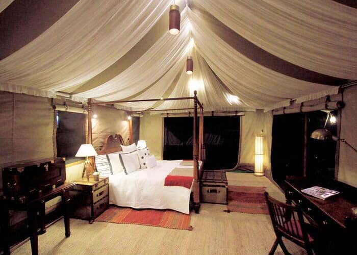 Valley Flower Camp, Nubra valley 4